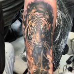 Tiger Tattoo – Custom Tattoos in Bundaberg, QLD