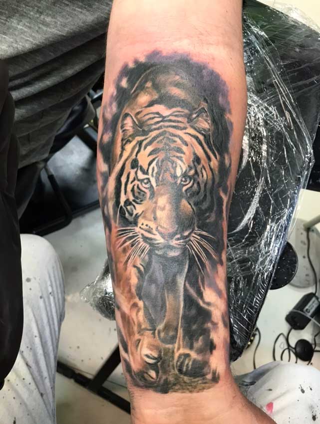 Tiger Tattoo – Custom Tattoos in Bundaberg, QLD